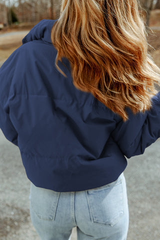 Zip Up Collared Neck Coat with Pockets Divacious