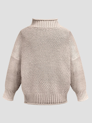Turtleneck Long Sleeve Sweater Divacious