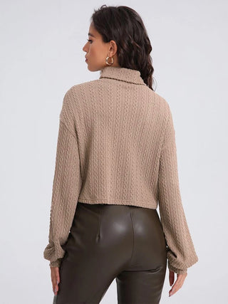 Turtleneck Long Sleeve Top Divacious