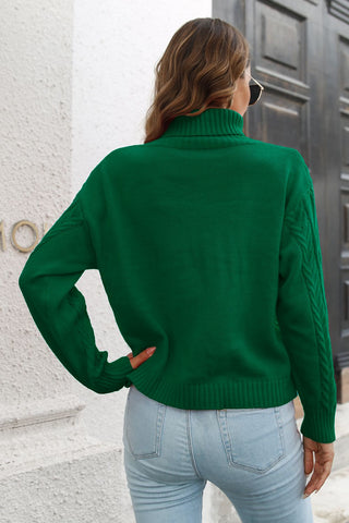 Turtleneck Long Sleeve Sweater Divacious
