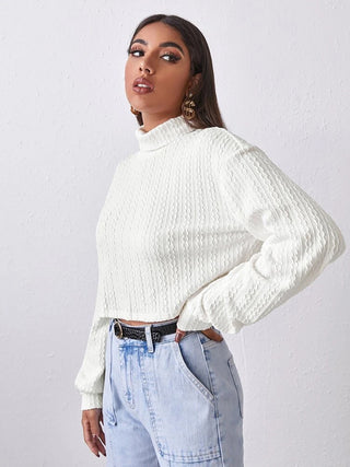 Turtleneck Long Sleeve Top Divacious