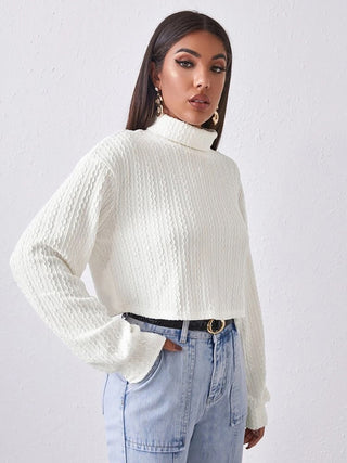 Turtleneck Long Sleeve Top Divacious